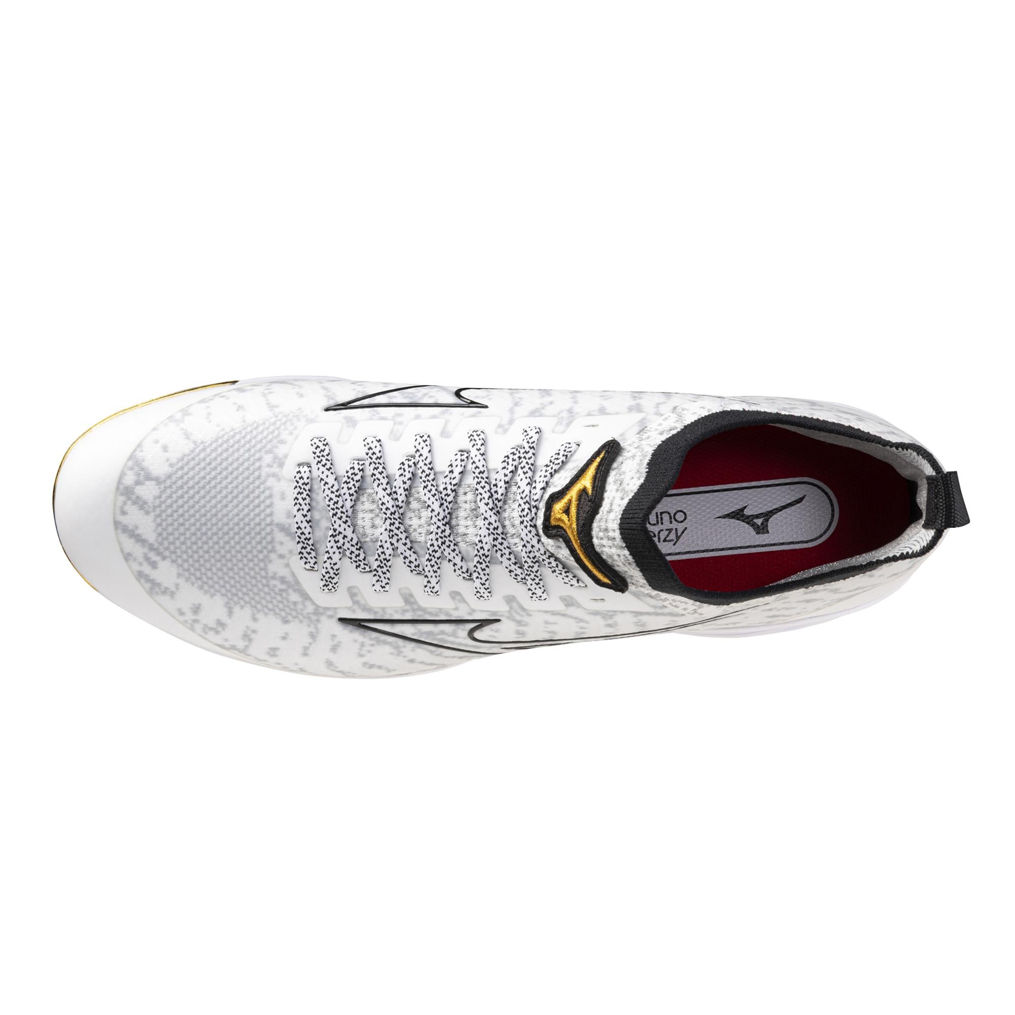 Men's MIZUNO Pro Metal Baseball Cleat