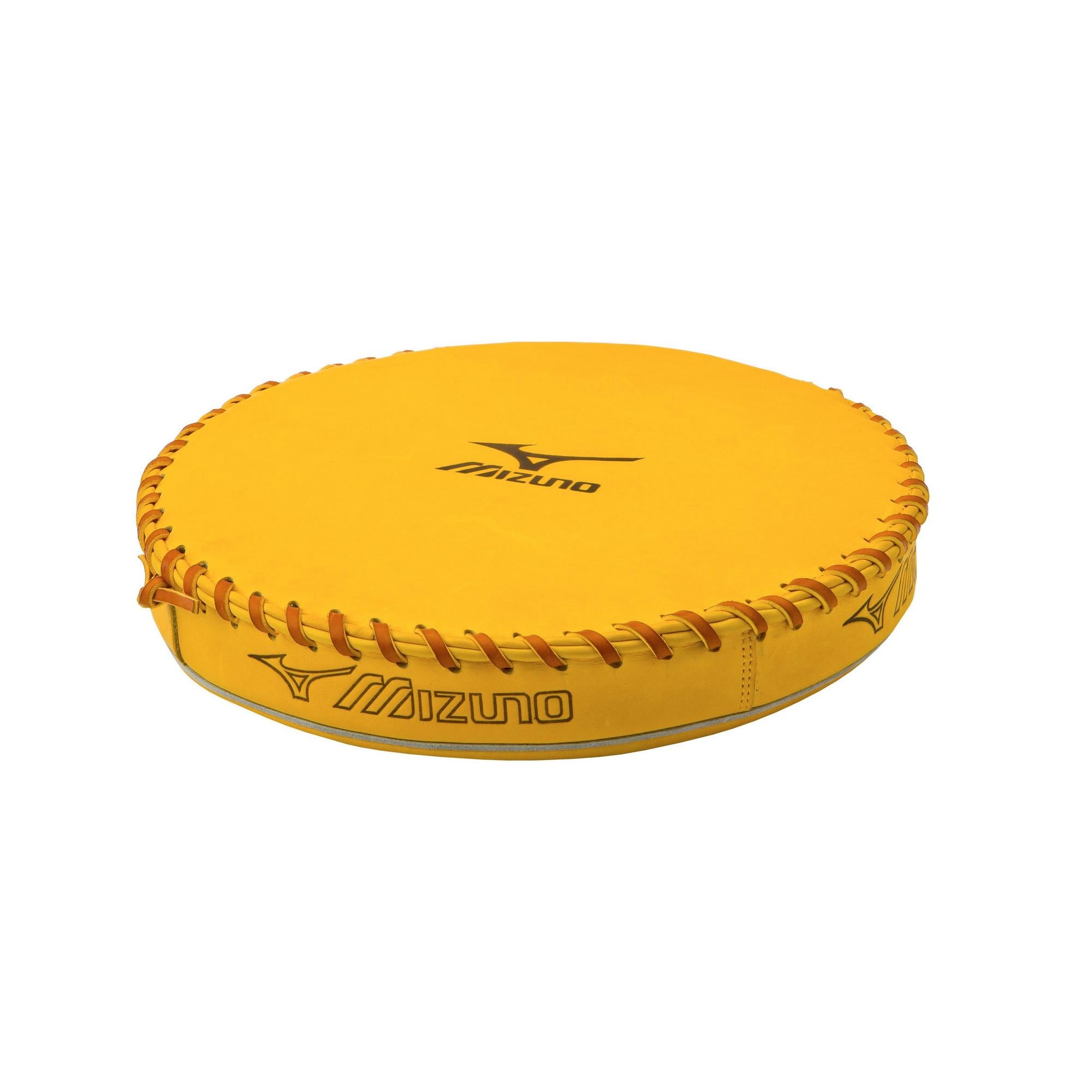 Ball Glove Pounding Pad
