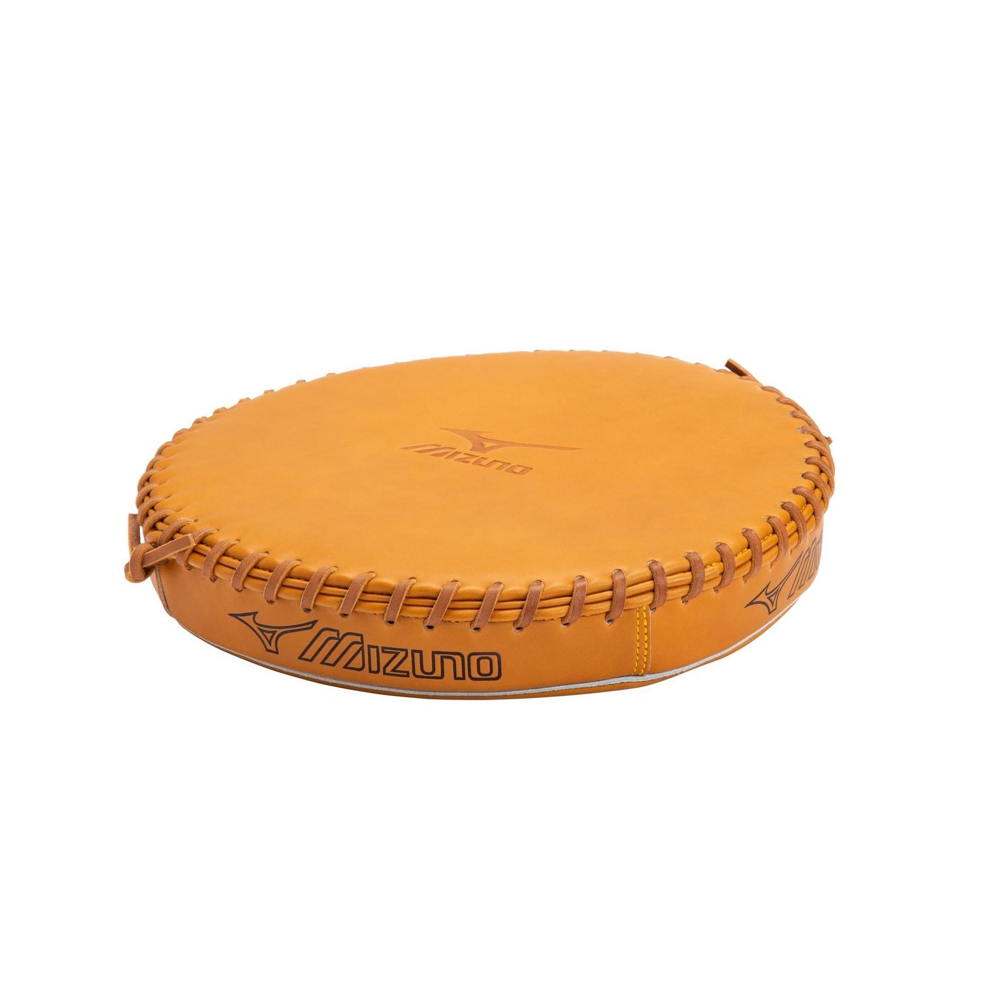 Ball Glove Pounding Pad
