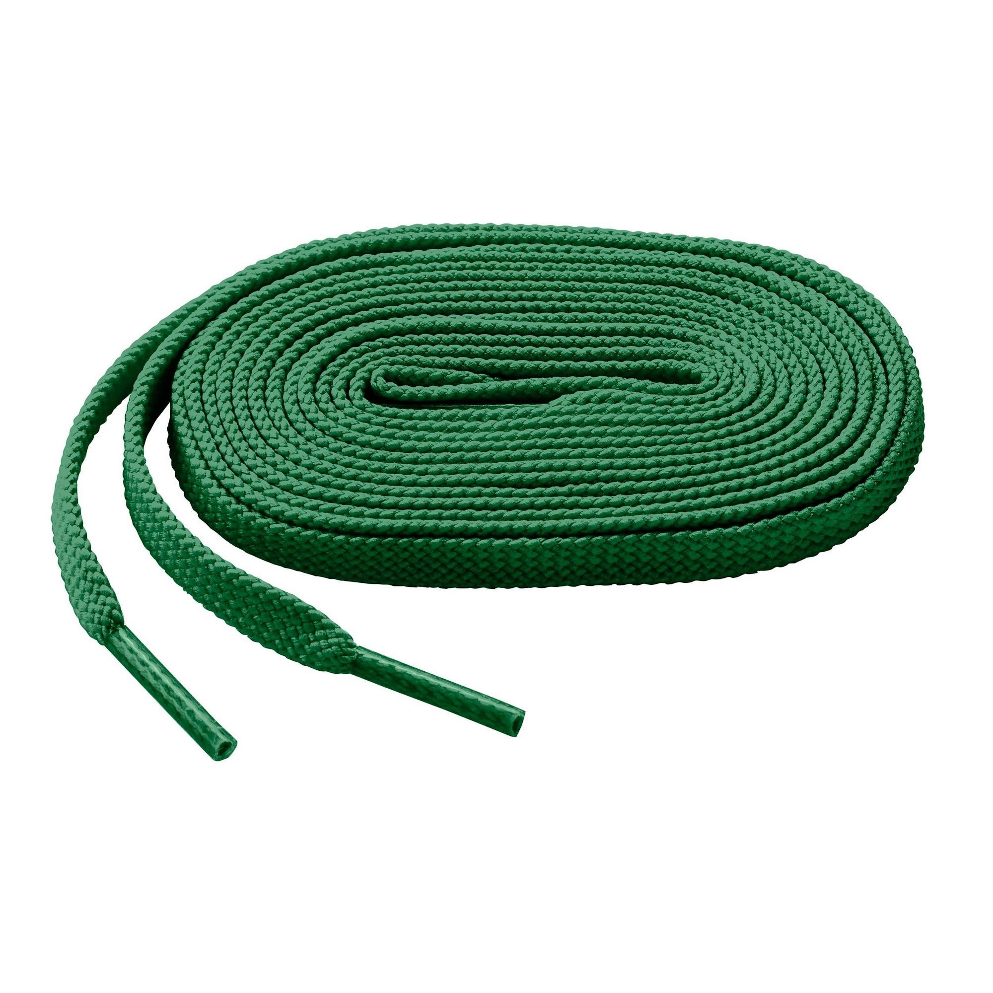 Shoelace