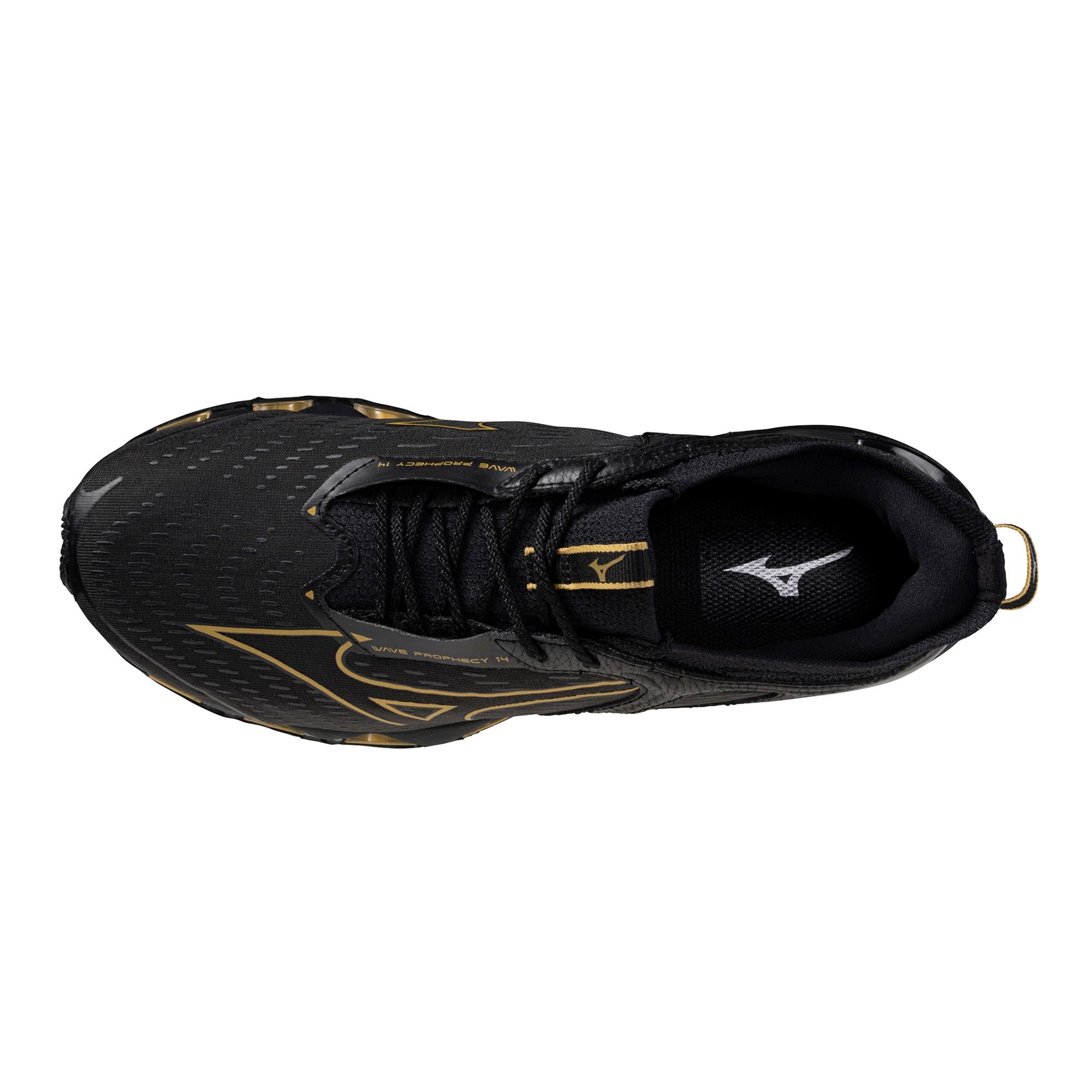 Men's Wave Prophecy 14 Running Shoe